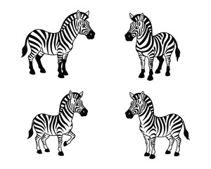 Four stylized black and white zebra illustrations standing in different poses against a white background