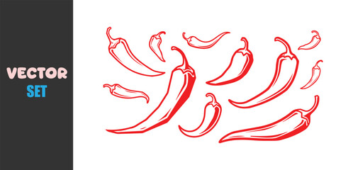 Hand drawn red chili peppers illustration on white background