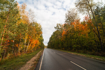 Naklejka premium A free highway leading through a beautiful autumn forest, the concept of speed and travel in autumn