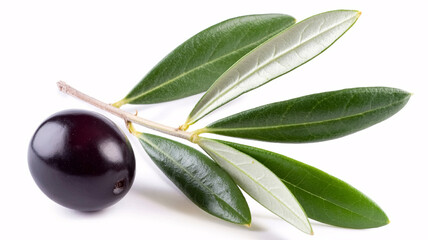 Vibrant single ripe black olive with fresh green leaves on stem, perfect for Mediterranean cuisine and natural health content