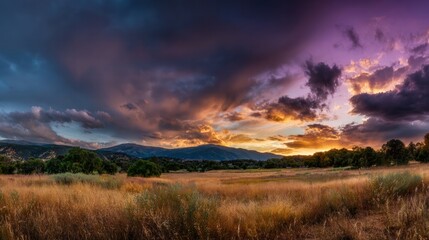 Fototapeta premium Sunset over a golden field