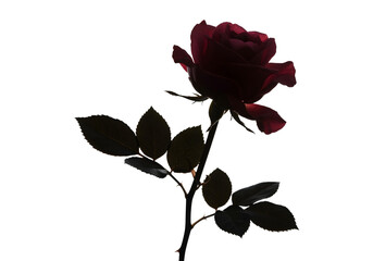 Obraz premium Rose flower silhouette. Black on white background. Isolated. Geometric abstraction, fragmented and reassembled.