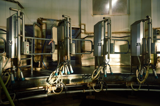 Worn-out automatic milking machine illuminated with light of morning sun. Metal parts covered with rust and plastic tubes turned their color from white to yellow. - Powered by Adobe