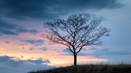 A solitary bare tree stands silhouetted on a hillside against a dramatic sunset sky filled with hues of blue, pink, and orange, conveying themes of nature, solitude, and tranquility.
