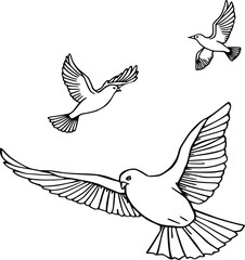 Obraz premium Elegant Dove Line Drawing