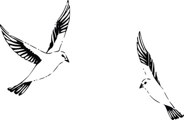 Obraz premium Hand Drawn Pigeon in Flight 