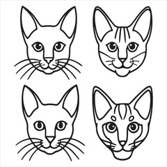 A Tranquil and Gentle Chartreux Cat, a Robust French Cat Known for its Bluecoat and Unique Smiling Cat Expression, an Elegant Companion with Woolly Fur