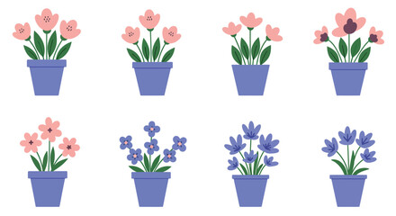 Collection of potted flowers in varying colors and arrangements displayed neatly