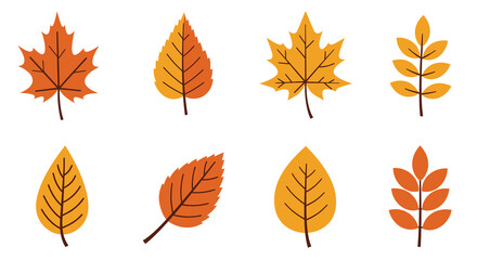 Obraz premium A collection of colorful autumn leaves in various shapes and shades