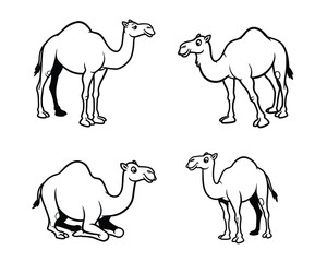 Four hand drawn black and white illustrations of camels in various poses showing their distinctive humps and legs