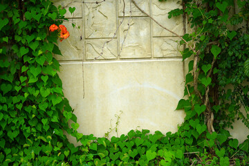 a picture of plants on the wall