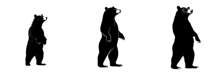 Obraz premium Majestic Bear Silhouette embodies the essence of nature, symbolizing power and strength as a dark icon in the woods, and a wild art logo