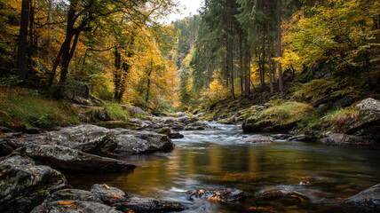 Autumn forest river with rocks and colorful trees