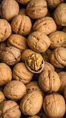 Walnuts close-up (1)
