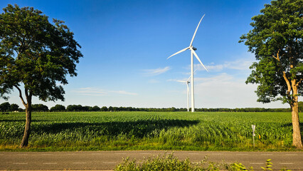 Wind turbines spin above open green farmland under a bright blue sky © Laura