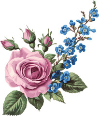 vintage decoration of roses and forget-me-nots isolated on white background