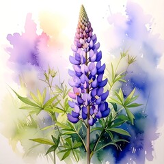 Watercolor lupine illustration