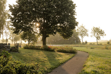 Path in nature landscape during golden hour sun shining through tree. Hiking European summer trees and grass in town local Dutch landscape in Netherlands. 