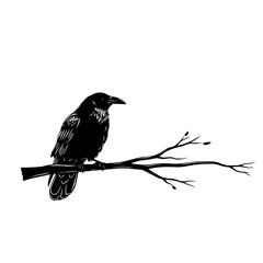 Crow on Branch