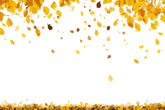 Golden Autumn Leaves Falling Against Black Background