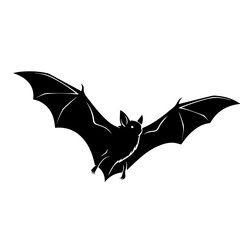 Fototapeta premium Bat Silhouette