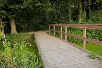 Wooden bridge going into forest. Nature woods explore hike. Wood build, explore adventure theme in Netherlands