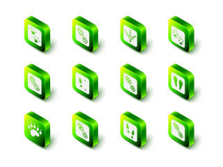 Set Human footprints shoes, Chicken paw, Fox, Rabbit and hare, and icon. Vector