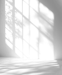 Realistic Window Shadow on Transparent Background	