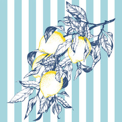 Elegant line art vector illustration of a lemon fruit branch with leaves, placed on a classic blue striped background. Inspired by the timeless Mediterranean aesthetic of the Amalfi Coast. Perfect for