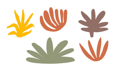 Abstract Bohemian Botanical Bush and Leaf Shape Set