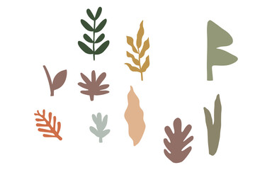 Diverse Set of Abstract Botanical Leaf Shapes