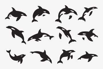 Orca collection vector