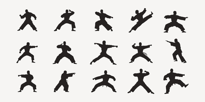 silhouettes of matrial art