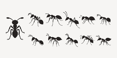 silhouettes of Ant