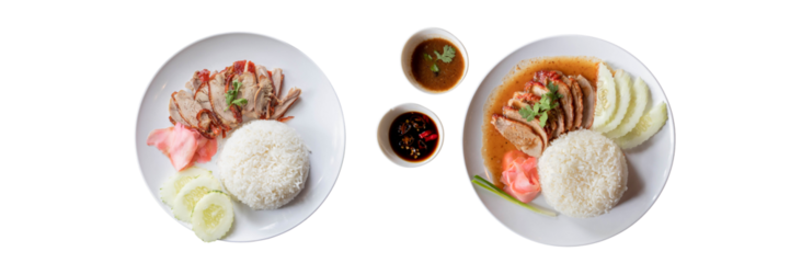 Delectable Culinary Duo: Two plates showcasing an appetizing array of beautifully arranged rice and savory duck, accompanied by tempting dipping sauces, offer a feast for the eyes and the palate.