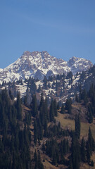 view from the top in Almaty mountains 