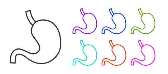 Obraz premium Black line Human stomach icon isolated on white background. Set icons colorful. Vector