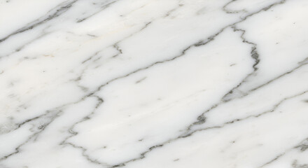 Elegant white marble texture with striking gray veins for sophisticated design