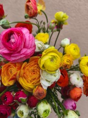Bouquet of colorful Asian ranunculus flowers on a light background. Vibrant spring blossoms in shades of pink, orange, yellow, and white, arranged in a soft floral composition.