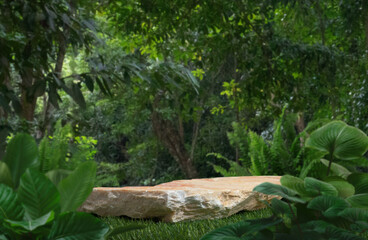Stone podium stand with green tropical forest nature background.natural product pedestal rock table top display.jungle paradise concept.