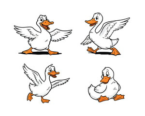 Four cartoon white ducks in various playful and energetic poses with open wings and expressive faces on a white background