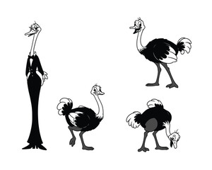 Four stylized cartoon ostriches depicted in various poses and sizes against a white background showcasing their unique silhouettes and personalities