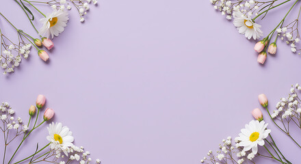 Floral frame of daisies and baby's breath on purple background.