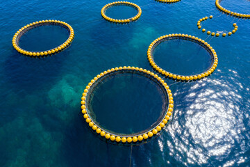 Circular Aquaculture Farms Floating Ocean Water Nature