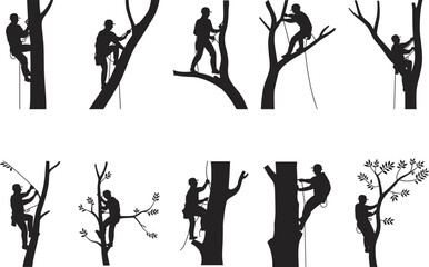 Arborist silhouettes climbing trees with ropes, professional tree workers, forestry maintenance, tree surgeons at work, arboriculture safety illustration vector