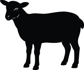 sheep icon, farm animal design