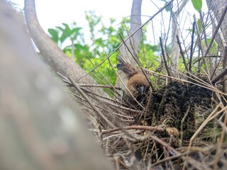 Living Safely in Nature’s Cradle
