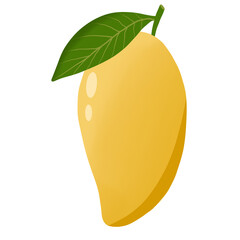 Mango fruit vector isolated
