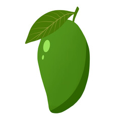 Mango fruit vector isolated