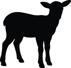 lamb standing silhouette, sheep vector art